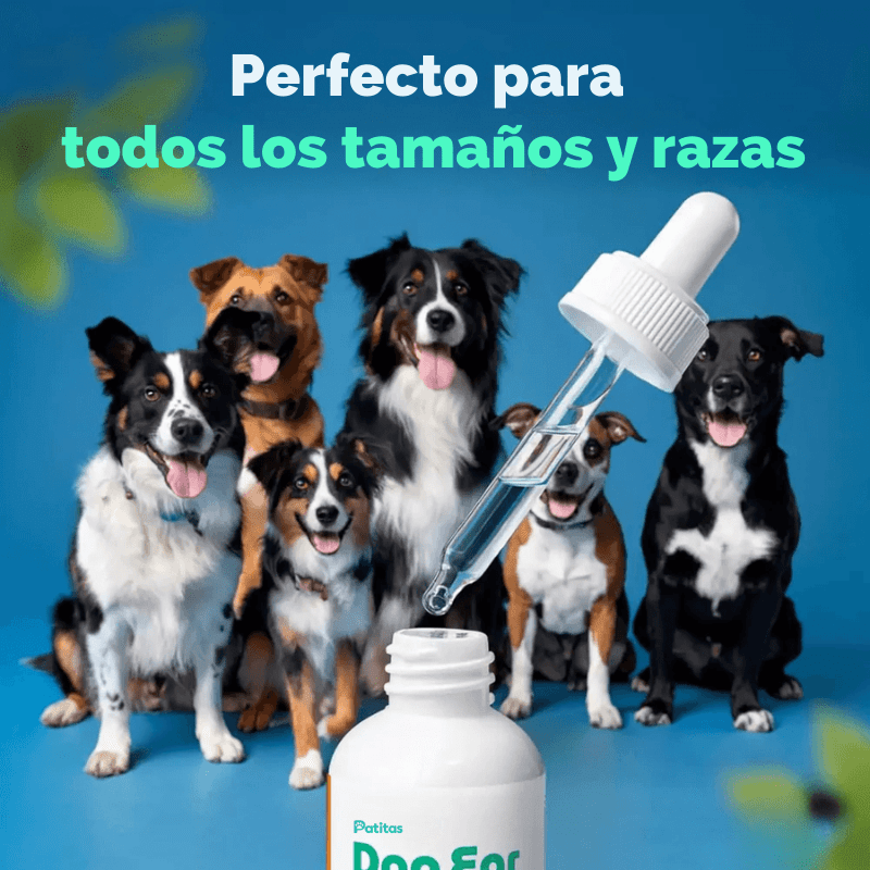 Ear Cleaner: Orejas limpias y sin infecciones, sin dolor y desde casa.