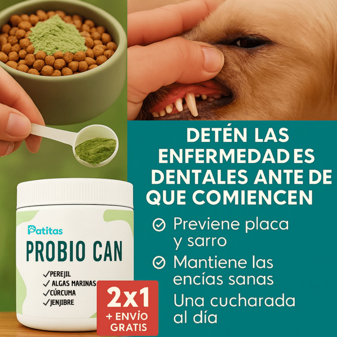 Probio Can: Boca más sana, menos sarro y aliento fresco sin esfuerzo
