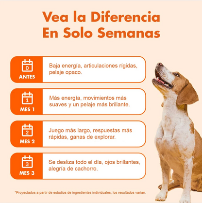 Suplemento Vitamínico PawEnergy™para perros I Vitalidad, energía y bienestar diario