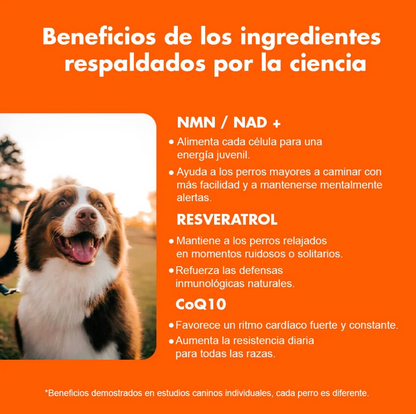 Suplemento Vitamínico PawEnergy™para perros I Vitalidad, energía y bienestar diario