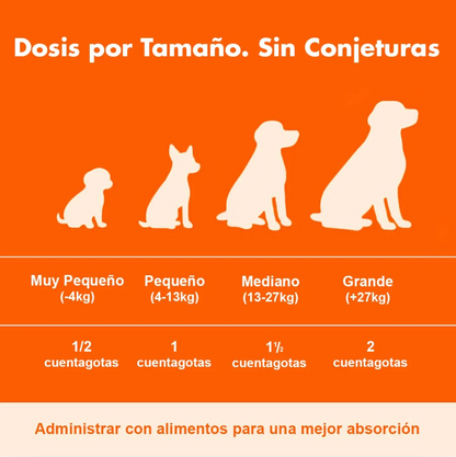Suplemento Vitamínico PawEnergy™para perros I Vitalidad, energía y bienestar diario