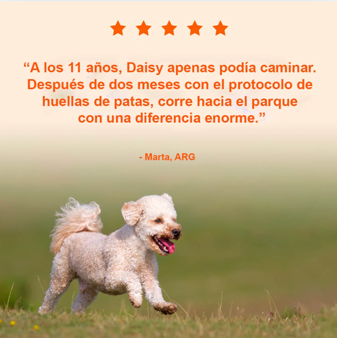 Suplemento Vitamínico PawEnergy™para perros I Vitalidad, energía y bienestar diario