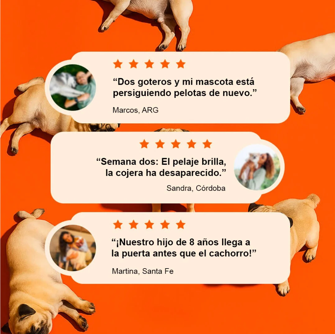 Suplemento Vitamínico PawEnergy™para perros I Vitalidad, energía y bienestar diario
