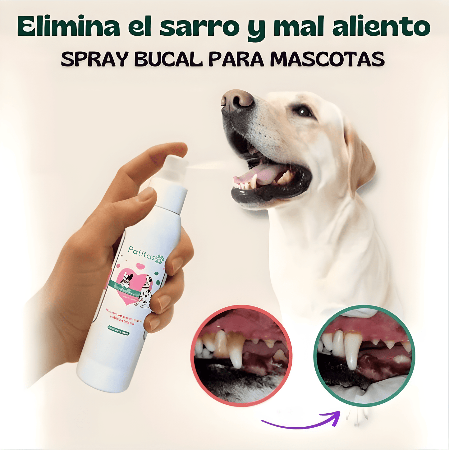 Spray DentalCleaner™ | Cuidado dental fácil, sonrisa sana y mascota feliz