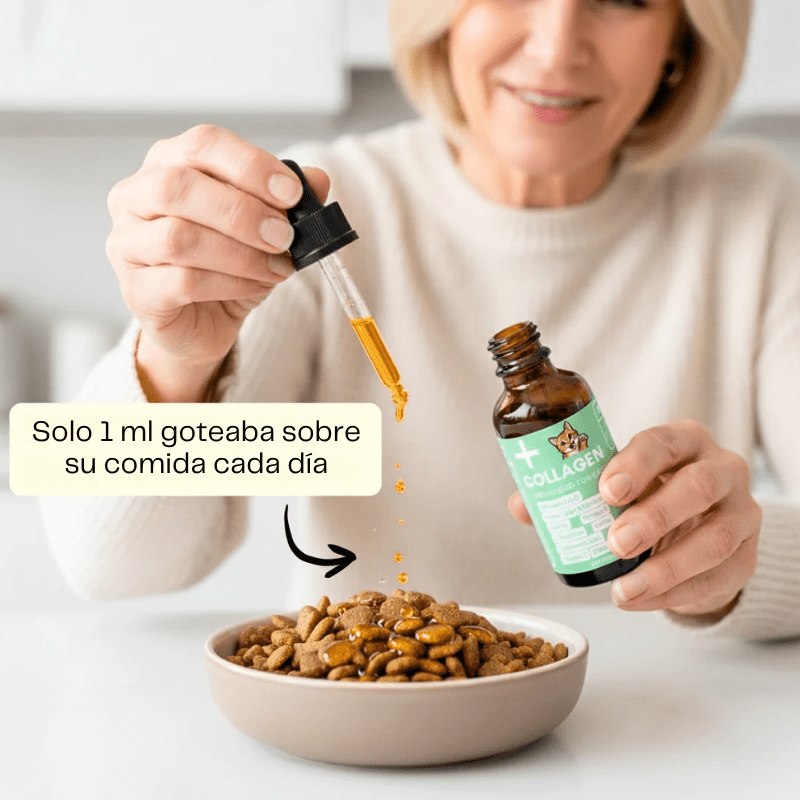 El colágeno premium ayuda a tu gato a mantenerse sano y sin dolor