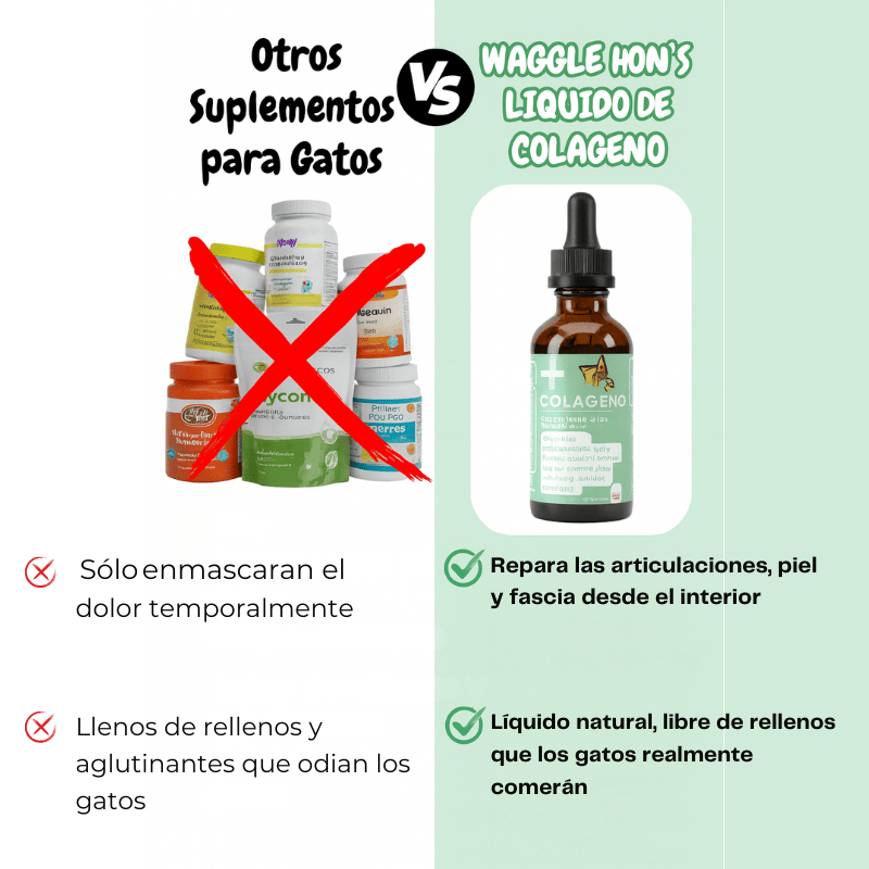 El colágeno premium ayuda a tu gato a mantenerse sano y sin dolor